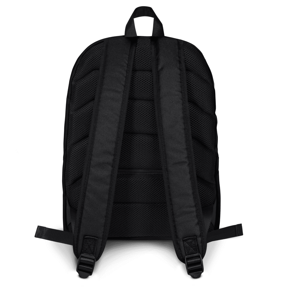 Black backpack with padded straps, rear view.