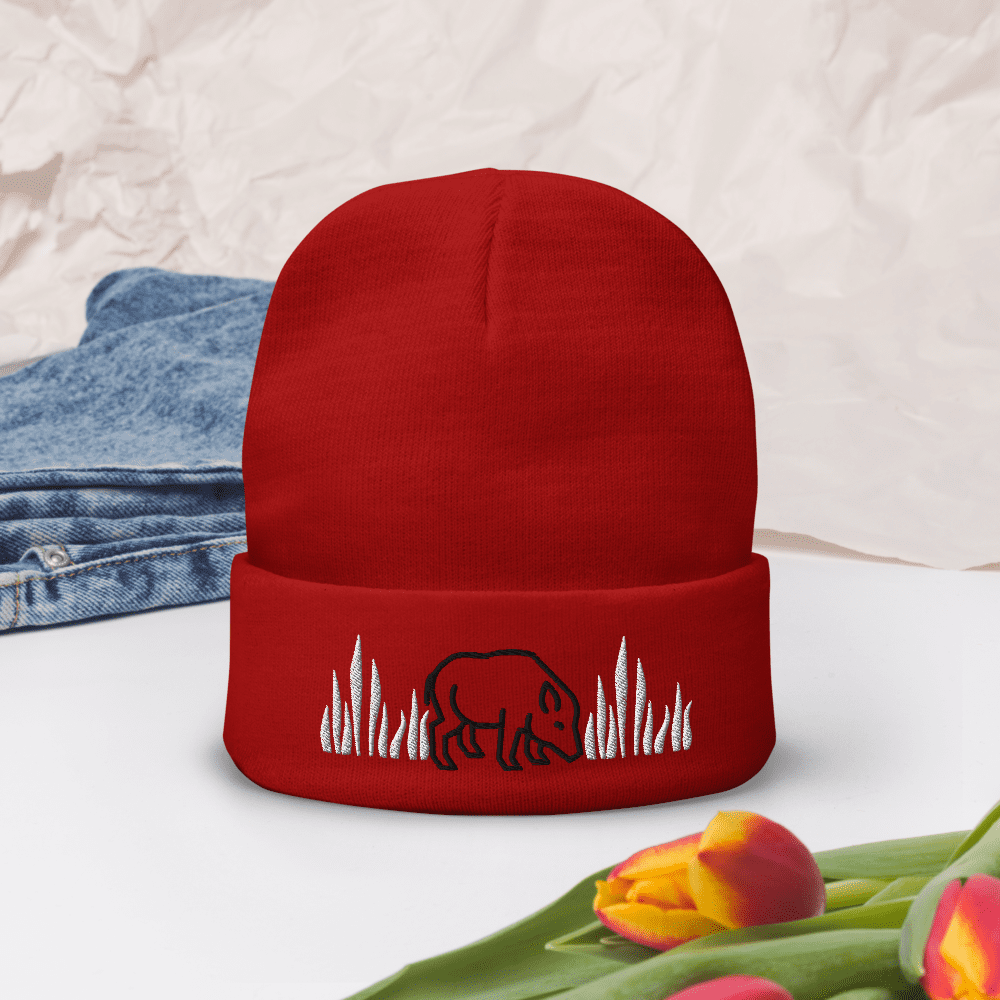 Red beanie with bear and flames design.