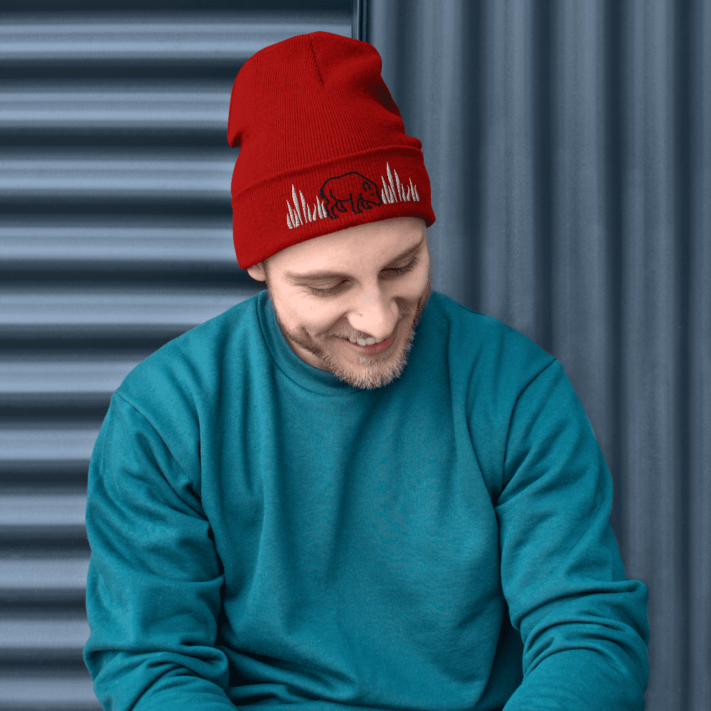 Man smiling, wearing red beanie and teal sweater.