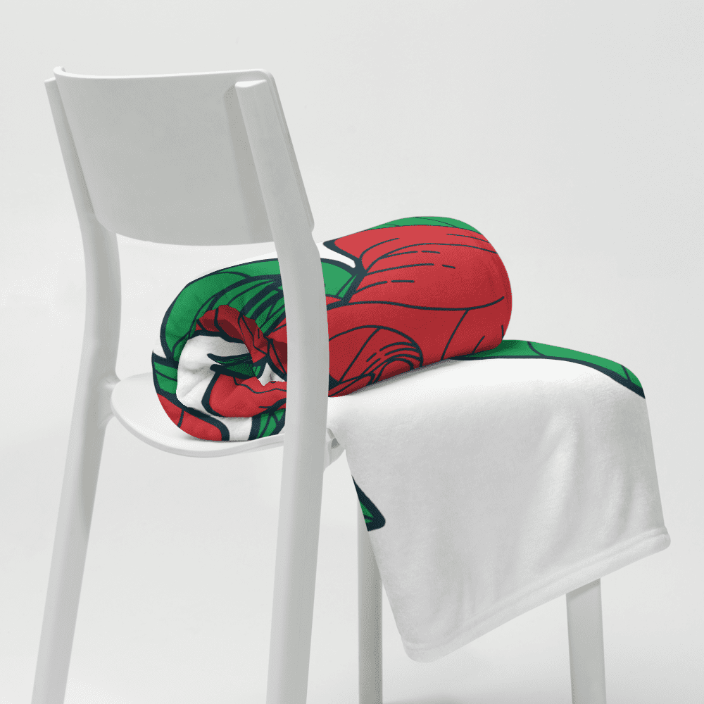 Blanket with red and green pattern on chair.