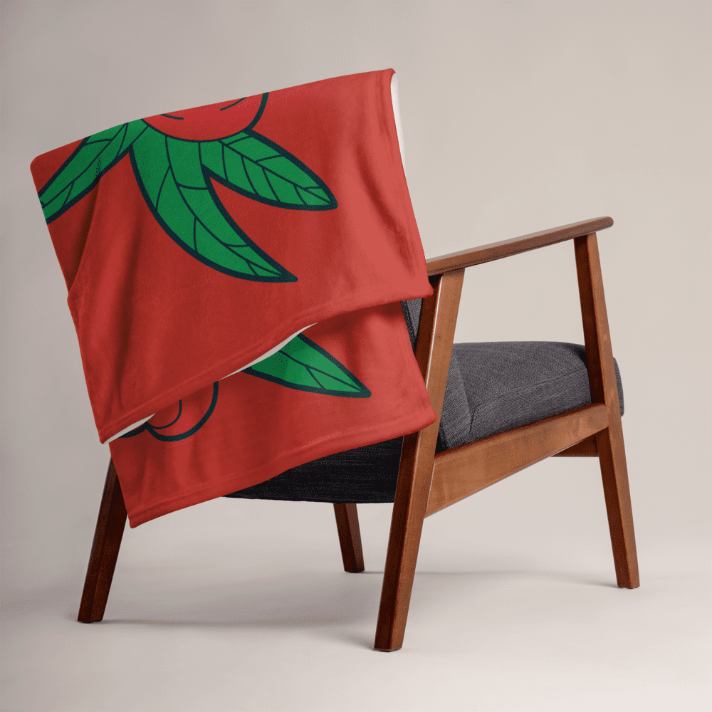 Chair with red blanket draped over arm.