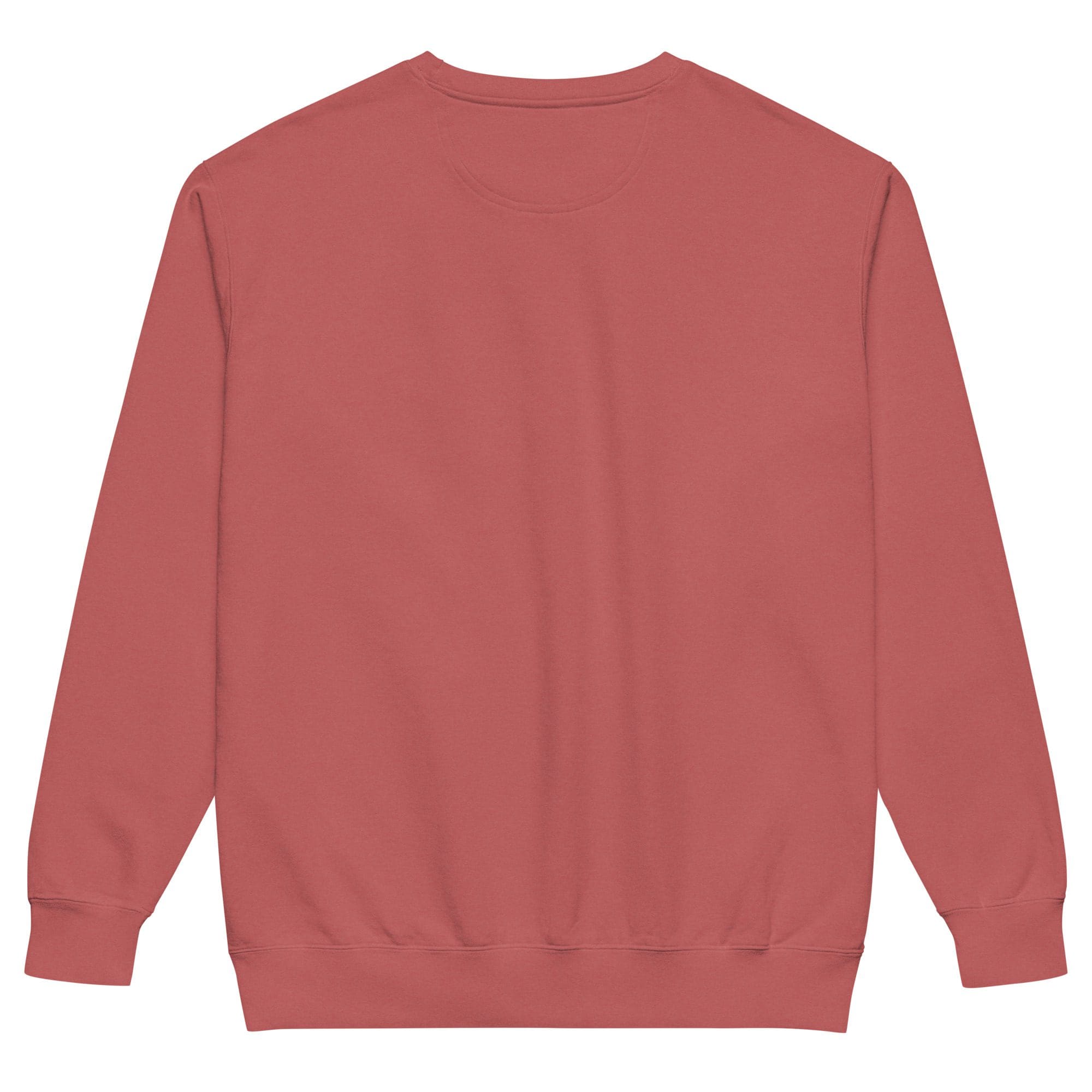 Back view of plain red sweatshirt.