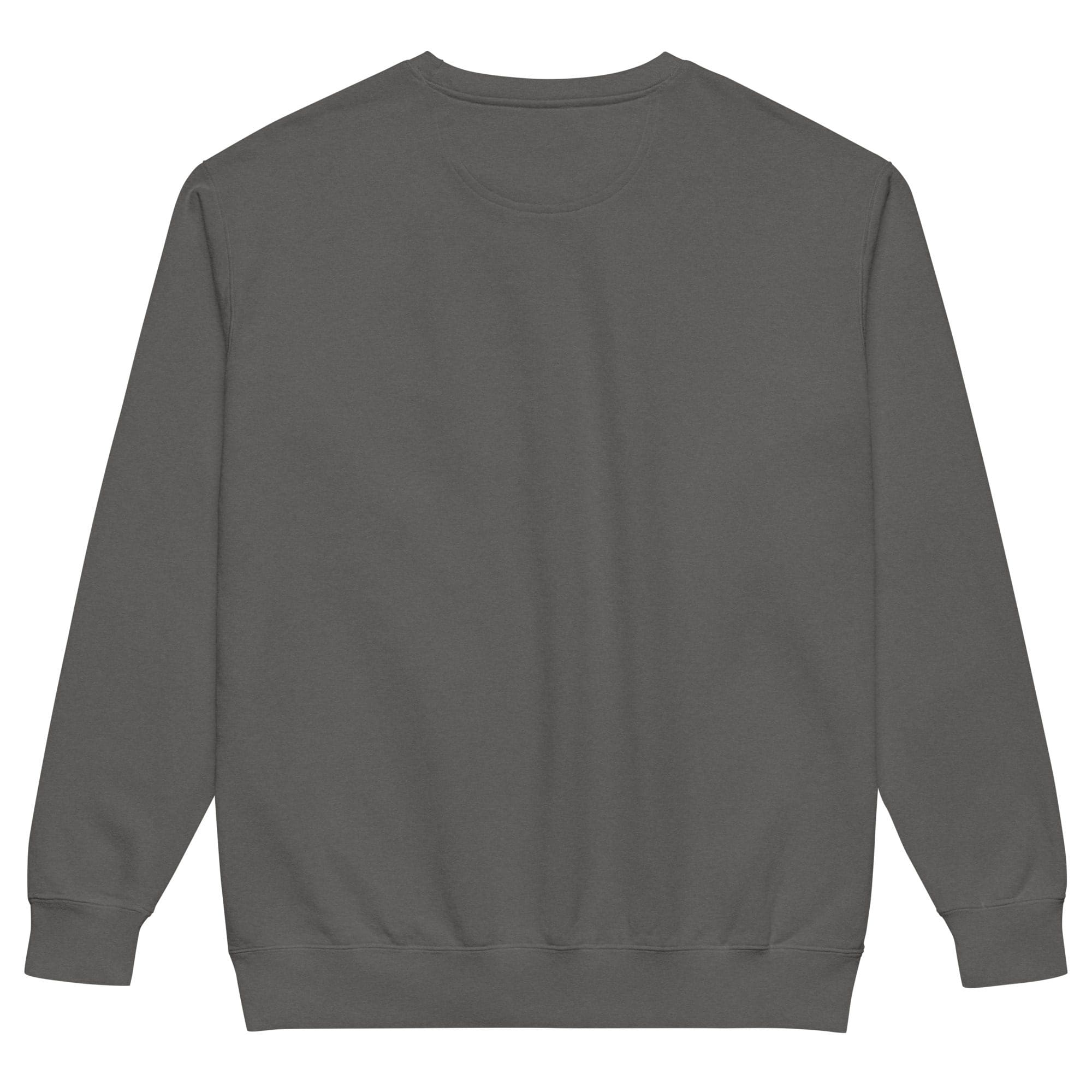 Gray sweatshirt, back view, plain design.