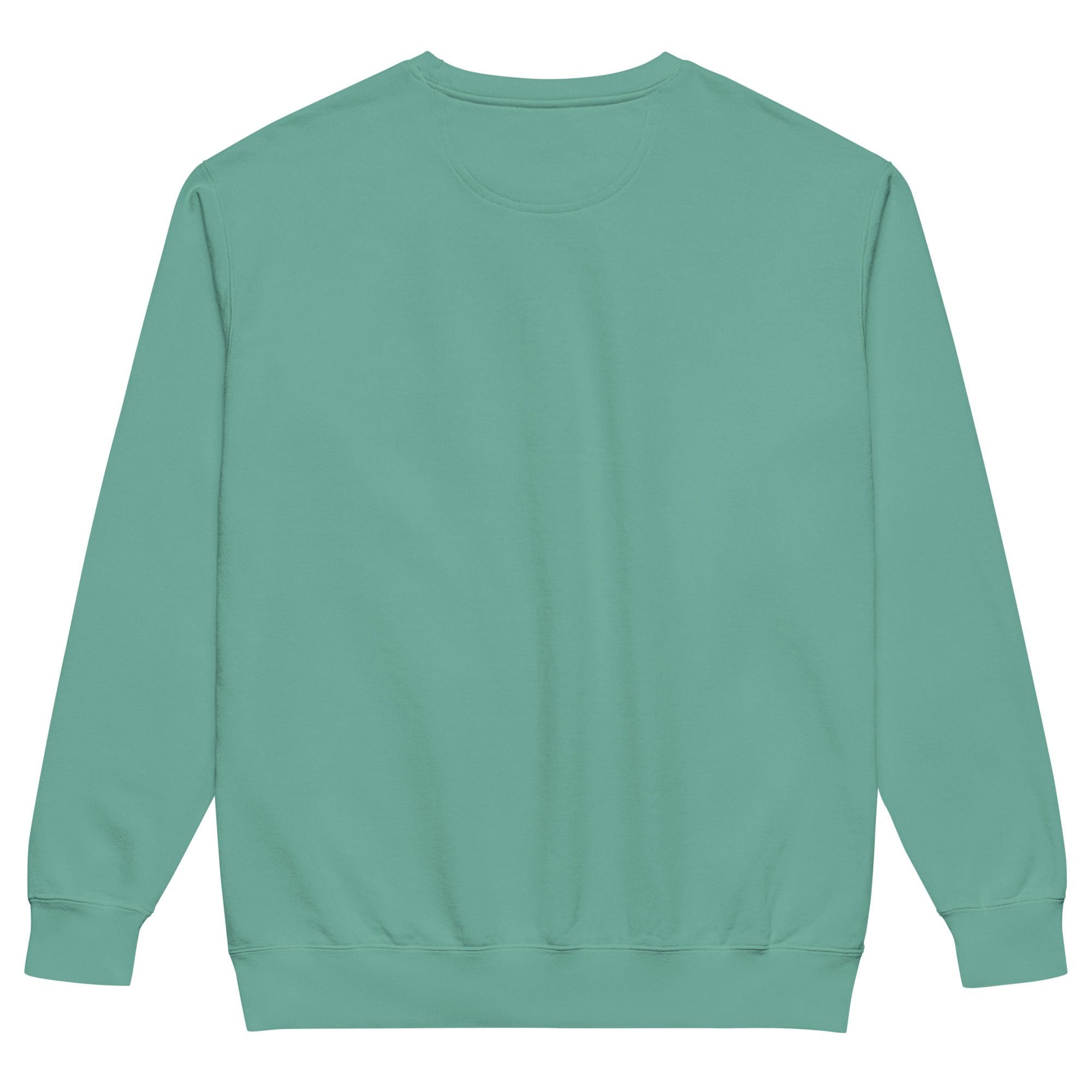 Teal sweatshirt back view, isolated.