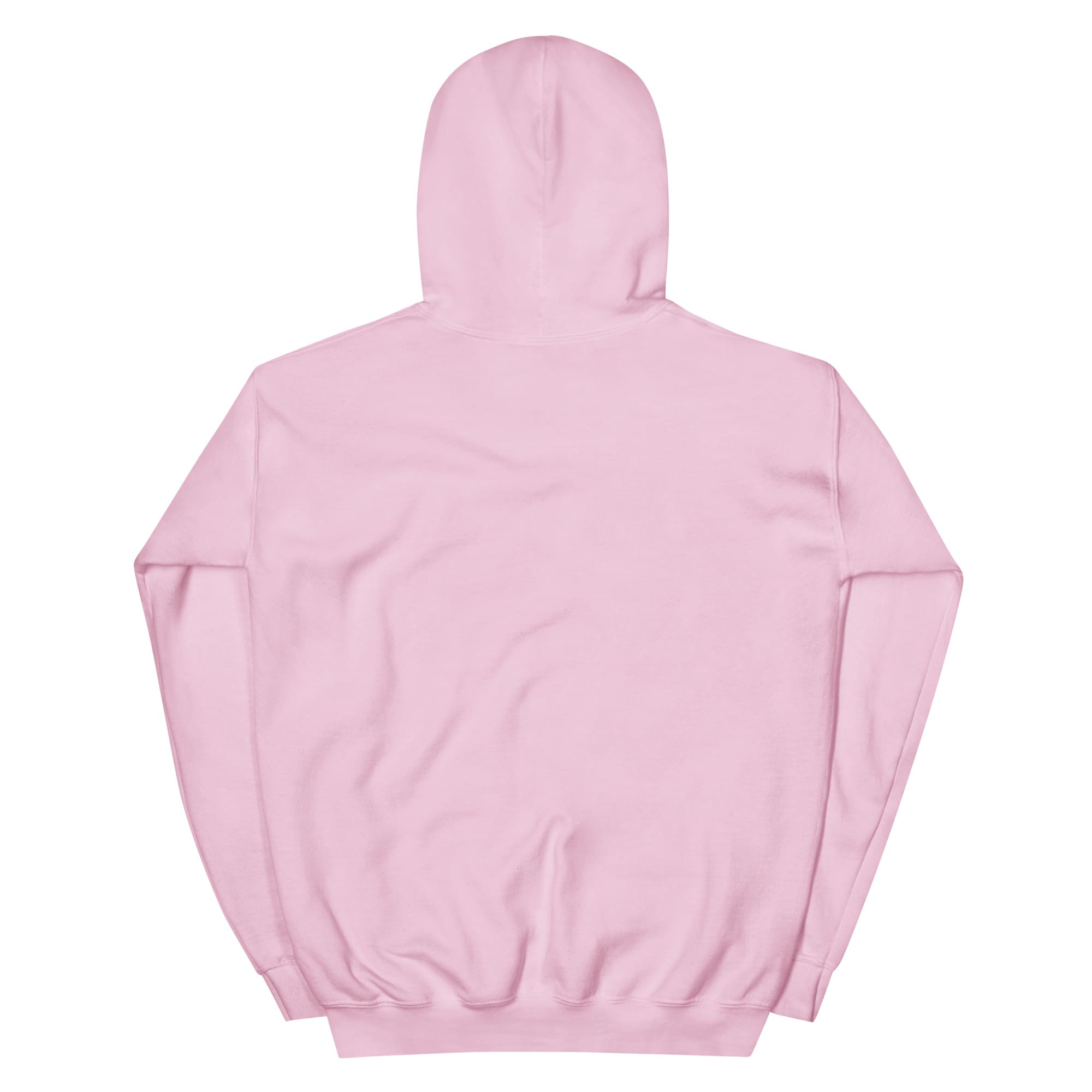 Blush pink hoodie, back view