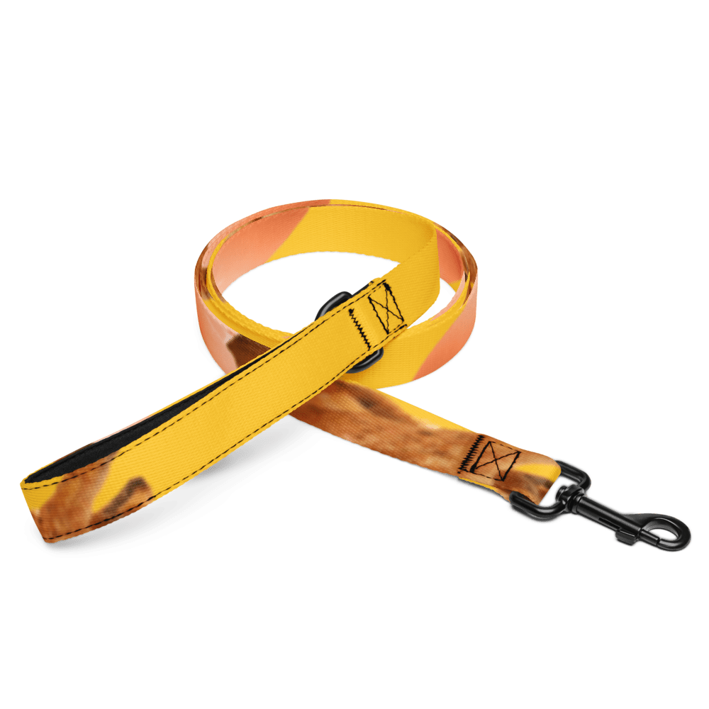 Pet leash - Image 5