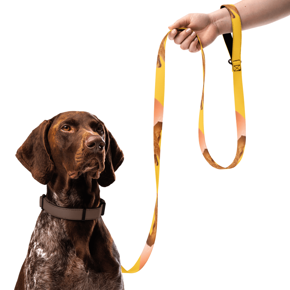 Pet leash - Image 7