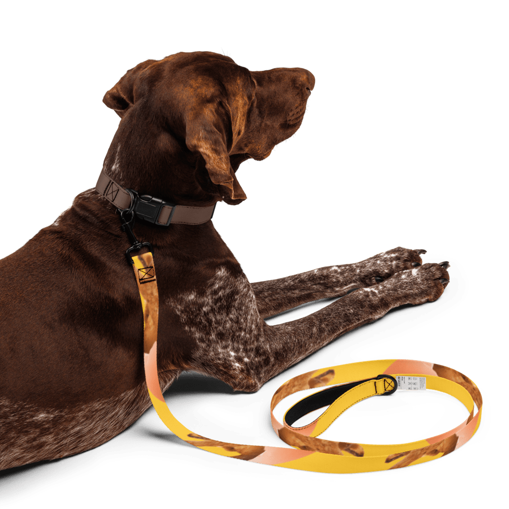 Pet leash - Image 8